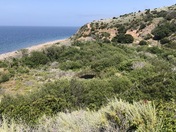 Channel Islands National Park