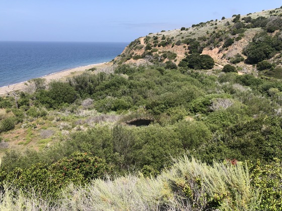 Channel Islands National Park