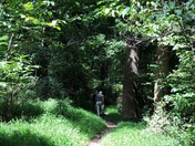 Appalachian National Scenic Trail