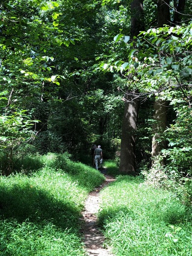 Appalachian National Scenic Trail