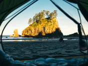 Olympic National Park
