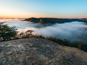 Daniel Boone National Forest