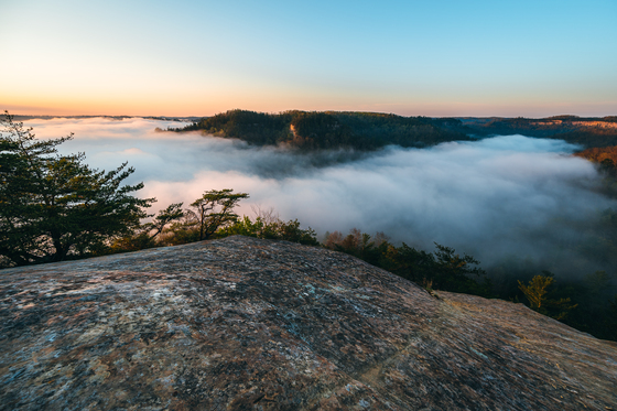 Daniel Boone National Forest