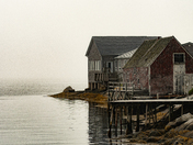 Foggy morning