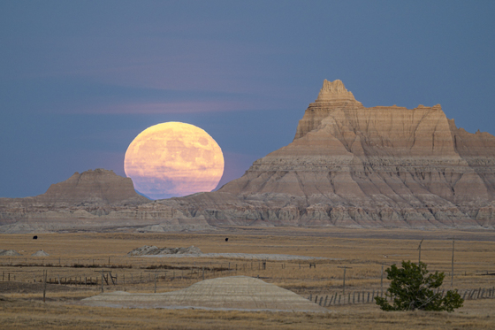 Buffalo Gap National Grassland