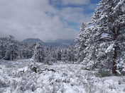 Rocky Mountain National Park