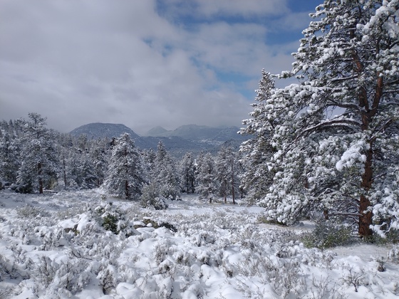 Rocky Mountain National Park