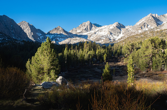 Inyo National Forest