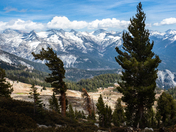 Sequoia National Park