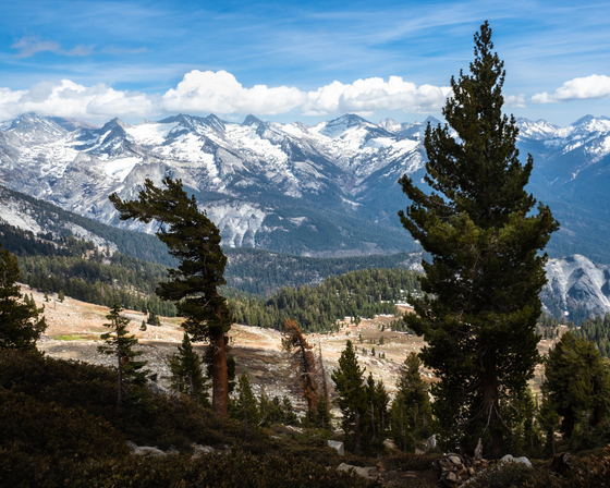 Sequoia National Park