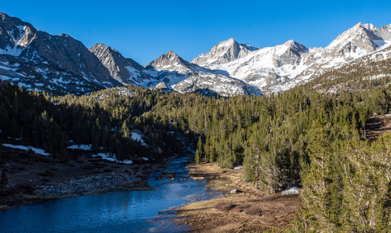 Inyo National Forest