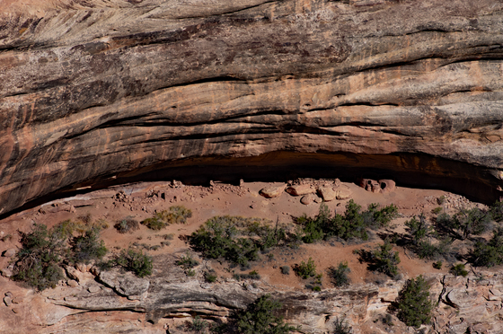Natural Bridges National Monument