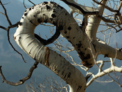 Rocky Mountain National Park