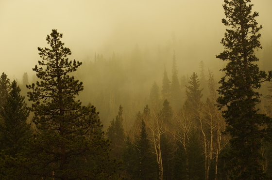 Rocky Mountain National Park