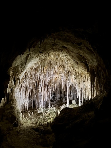 Carlsbad Caverns National Park