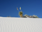 White Sands National Park