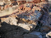 Petrified Forest National Park