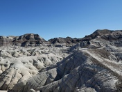 Petrified Forest National Park