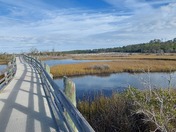 Croatan National Forest Cedar Point Tideland Trail