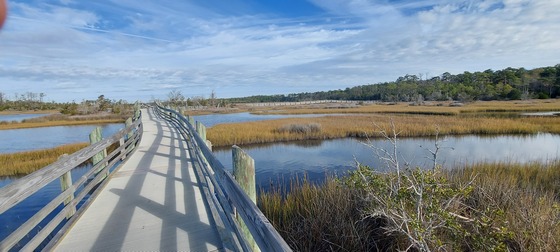 Croatan National Forest Cedar Point Tideland Trail
