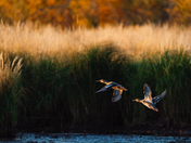 The Famous Mount Robson