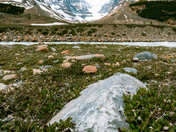 The Icefields Parkway