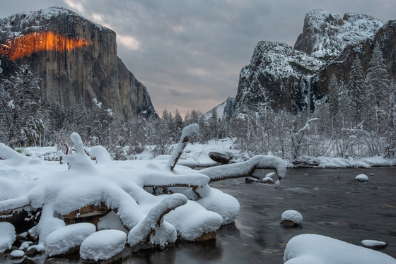 Yosemite National Park