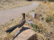 Big Bend National Park
