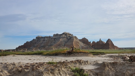 Badlands National Park