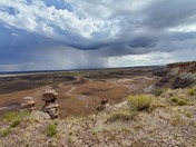 Petrified Forest National Park