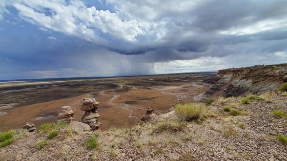 Petrified Forest National Park