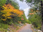 Acadia National Park