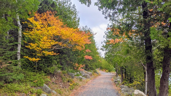 Acadia National Park