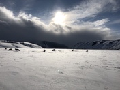 National Elk Refuge