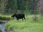 Rocky Mountain National Park