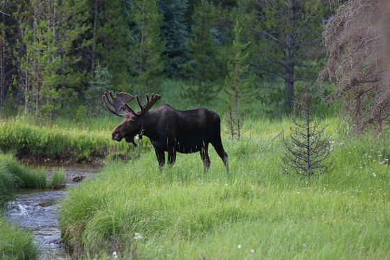 Rocky Mountain National Park