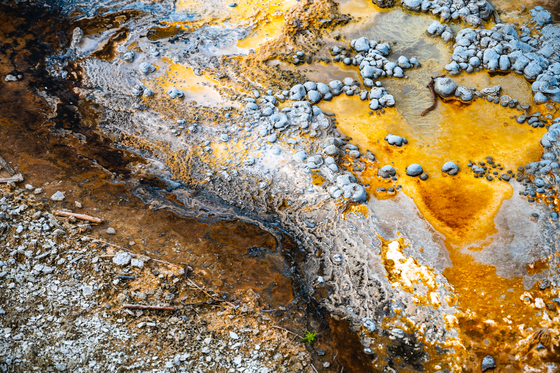 Yellowstone National Park