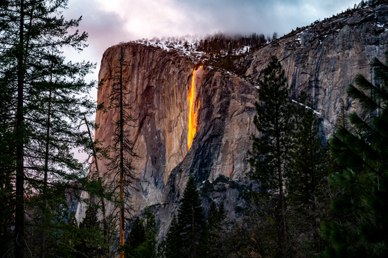 Yosemite National Park