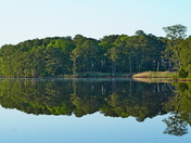 Blackwater National Wildlife Refuge