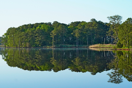 Blackwater National Wildlife Refuge