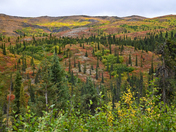 Denali National Park
