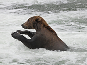 Katmai National Park