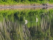 Everglades National park