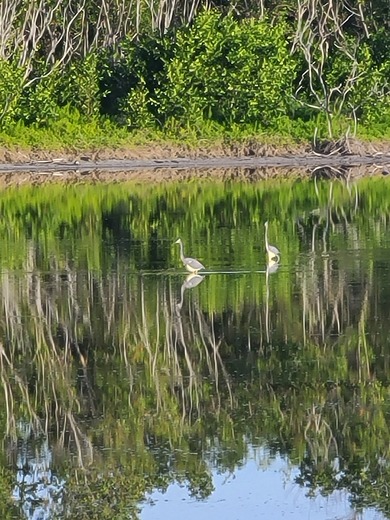 Everglades National park