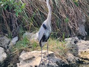 Big Cypress National Preserve