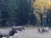 Rocky Mountain National Park