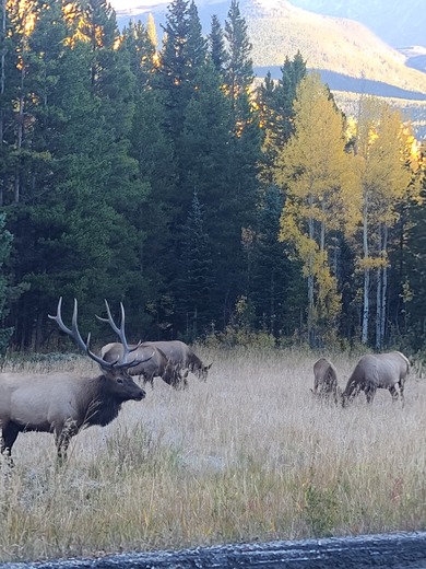 Rocky Mountain National Park