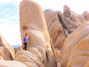 Joshua Tree National Park