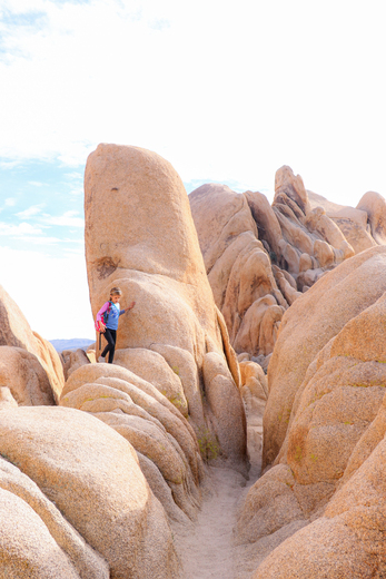 Joshua Tree National Park