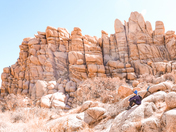 Joshua Tree National Park